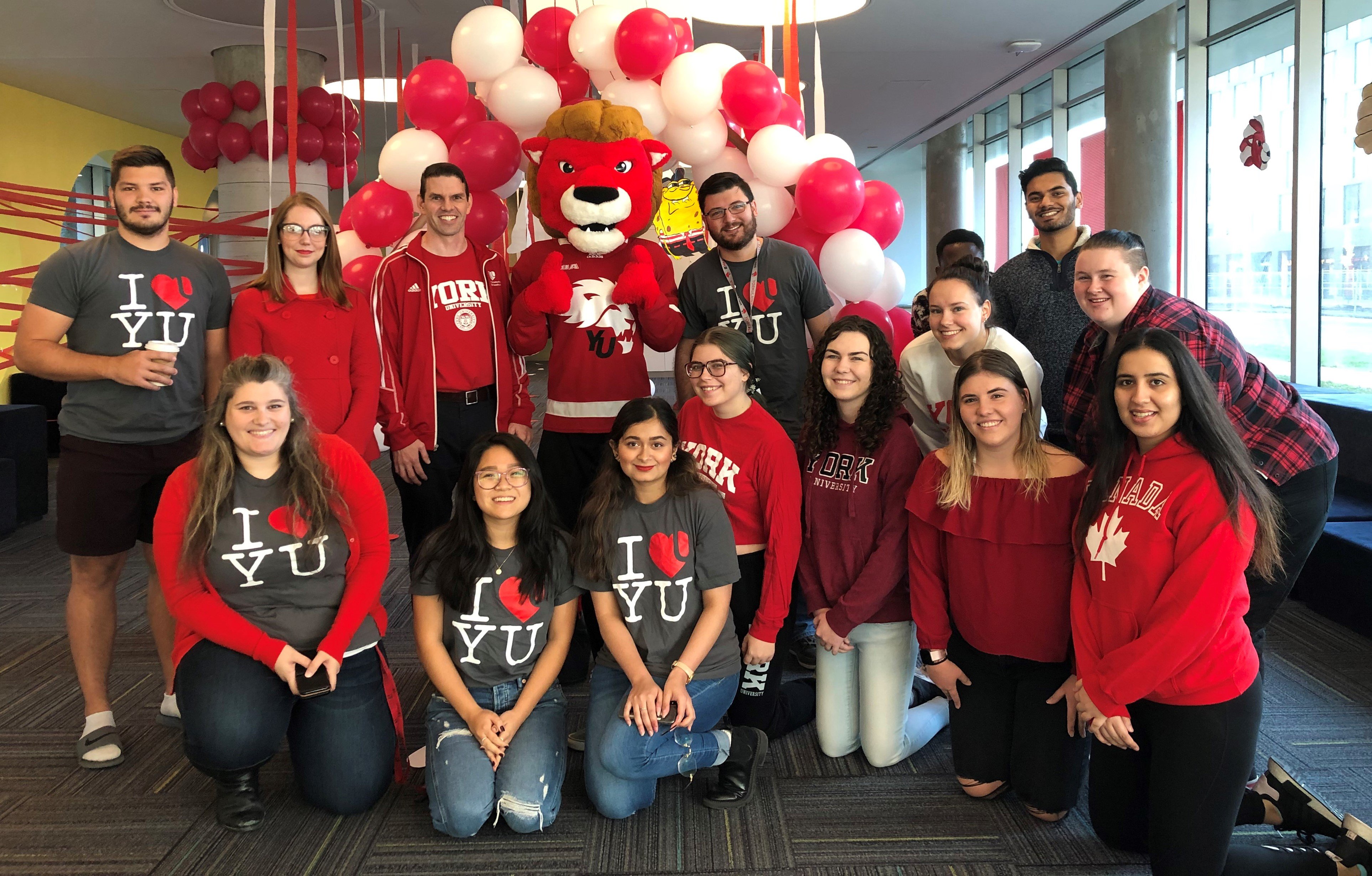 placeholder - card module