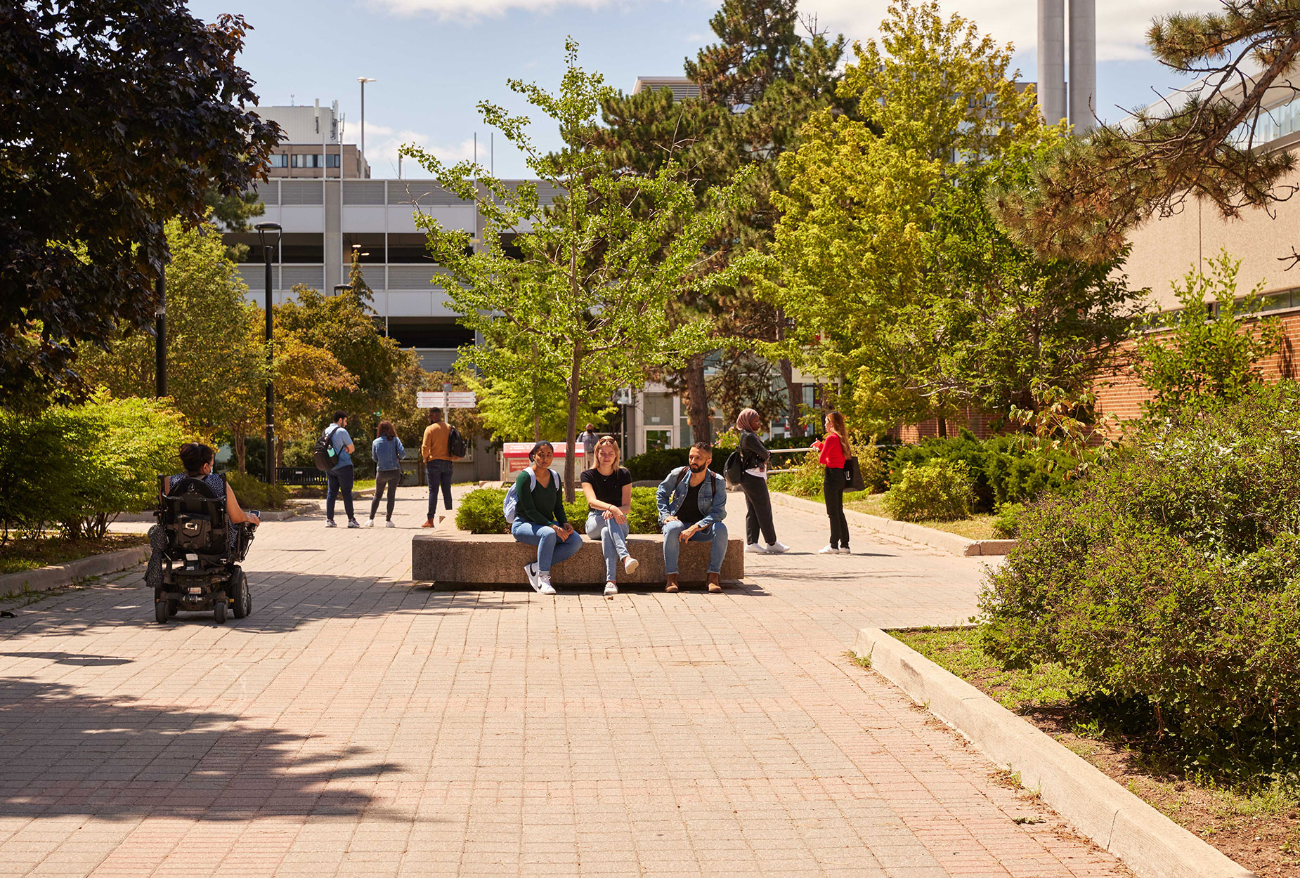 York University