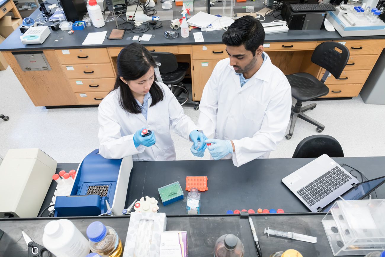 Science (BSc, First Year Only)