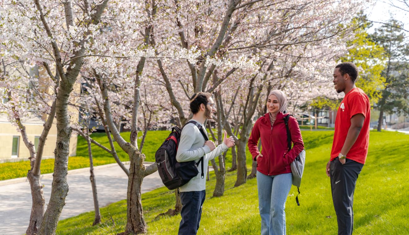 phd computer science york